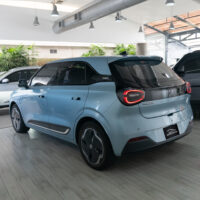 DFM NAMMI 01 - Image 3